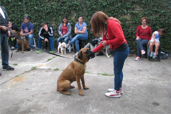 Fotografía 86 del archivo de actividades de la Escuela Canina GUMI