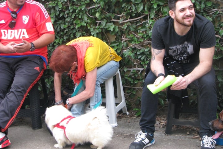 Fotografía 91 del archivo de actividades de la Escuela Canina GUMI